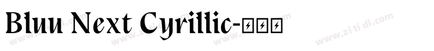 Bluu Next Cyrillic字体转换